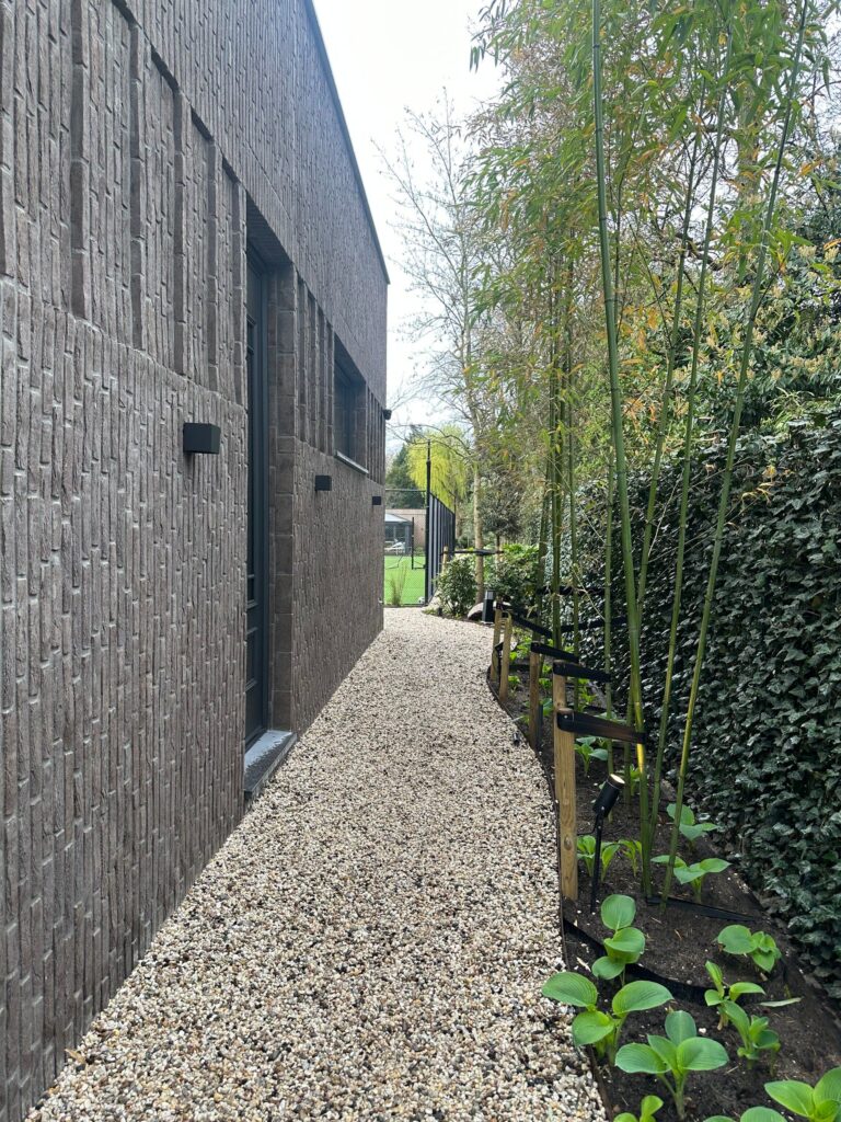 Tuinpad langs moderne villa met groene erfafscheiding