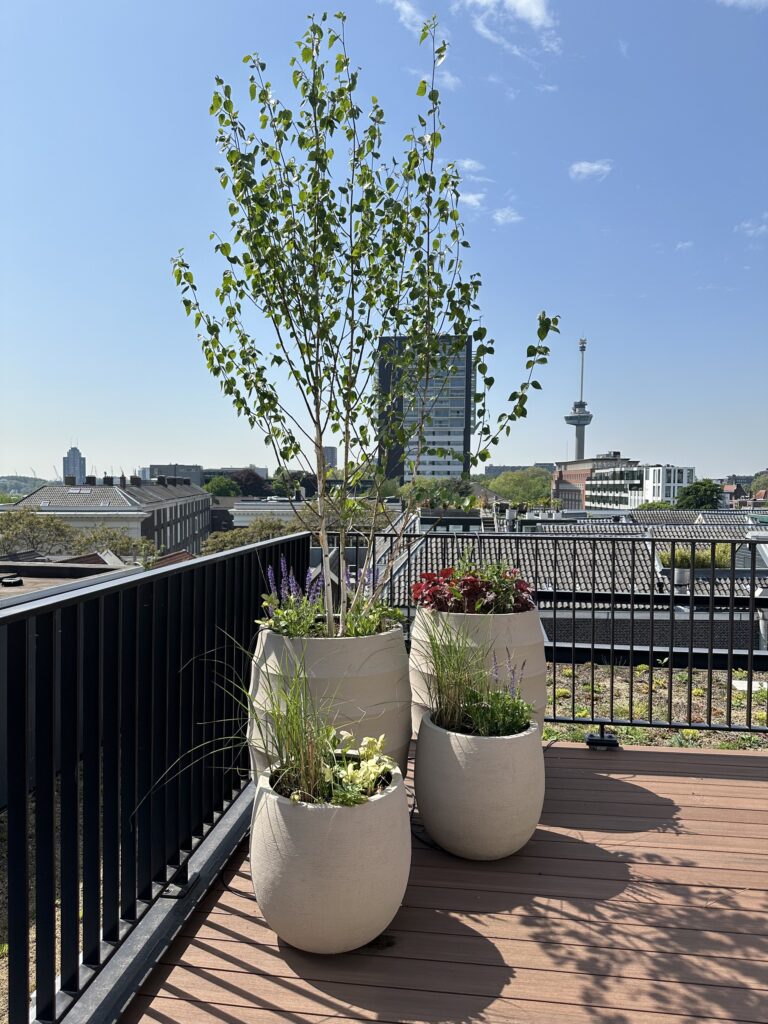 Dakterras met plantenbakken en uitzicht over de stad